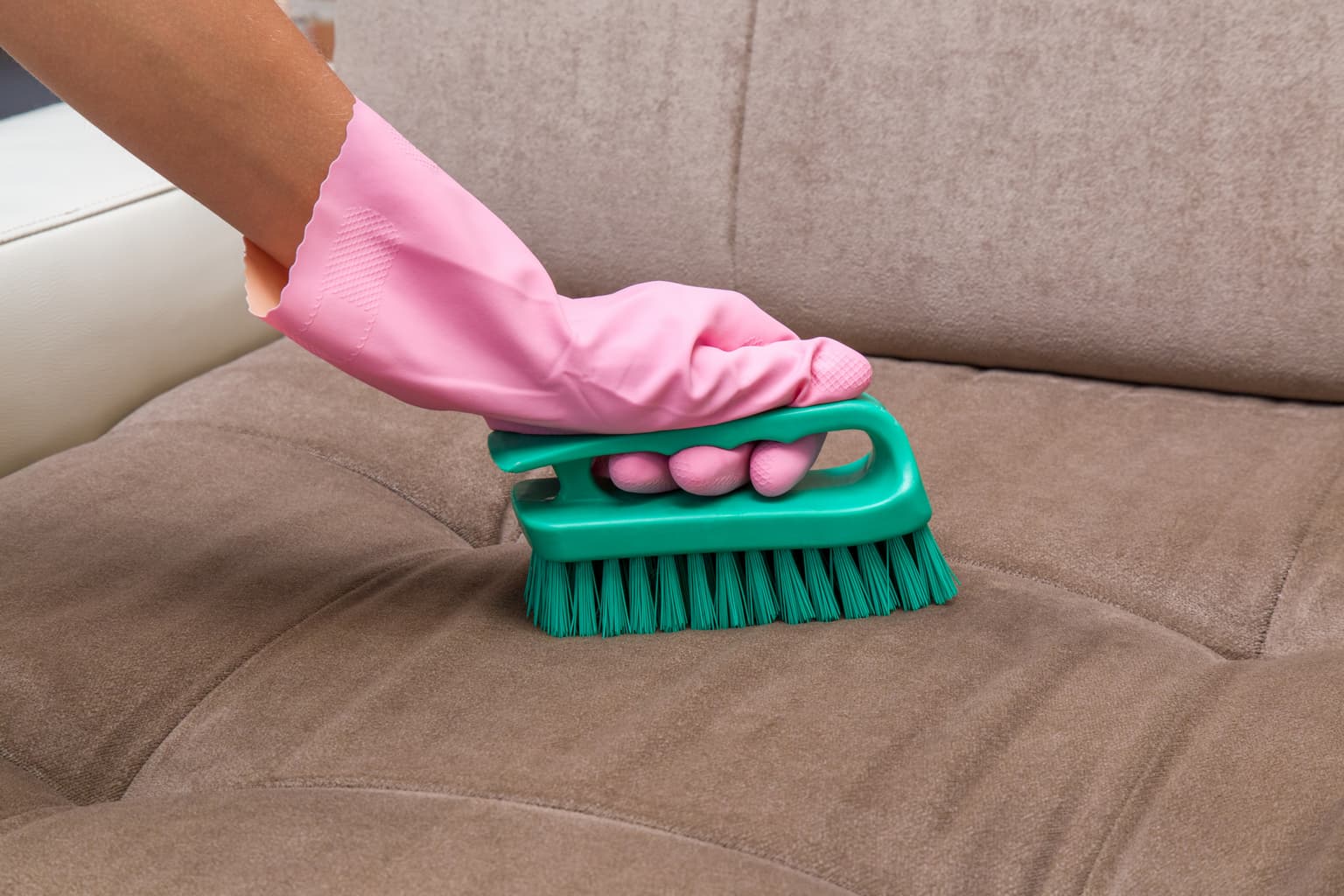 Upholstery Cleaning